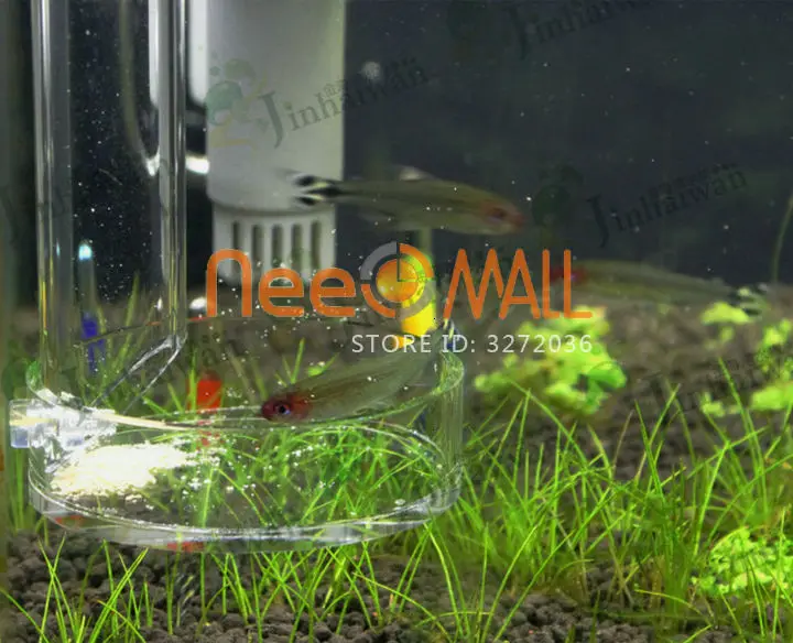 Aquarium Fish Food Acrylic Crystal Shrimp Fish Feeding Tube With Feeder Dish Tropical Aquario Red Bee Plant Tank Eggs