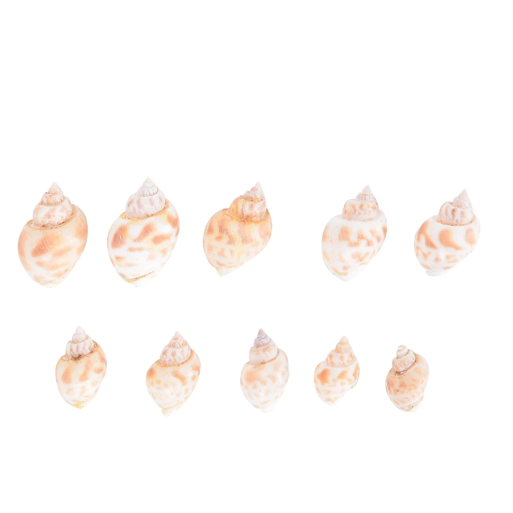 20 шт оптом натуральный пляж смешанные морские раковины аквариум декоративные