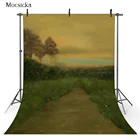 Живопись маслом дорожный пейзаж фон для фотографии студия абстрактная текстура Взрослый день рождения Портрет фон для фотостудии