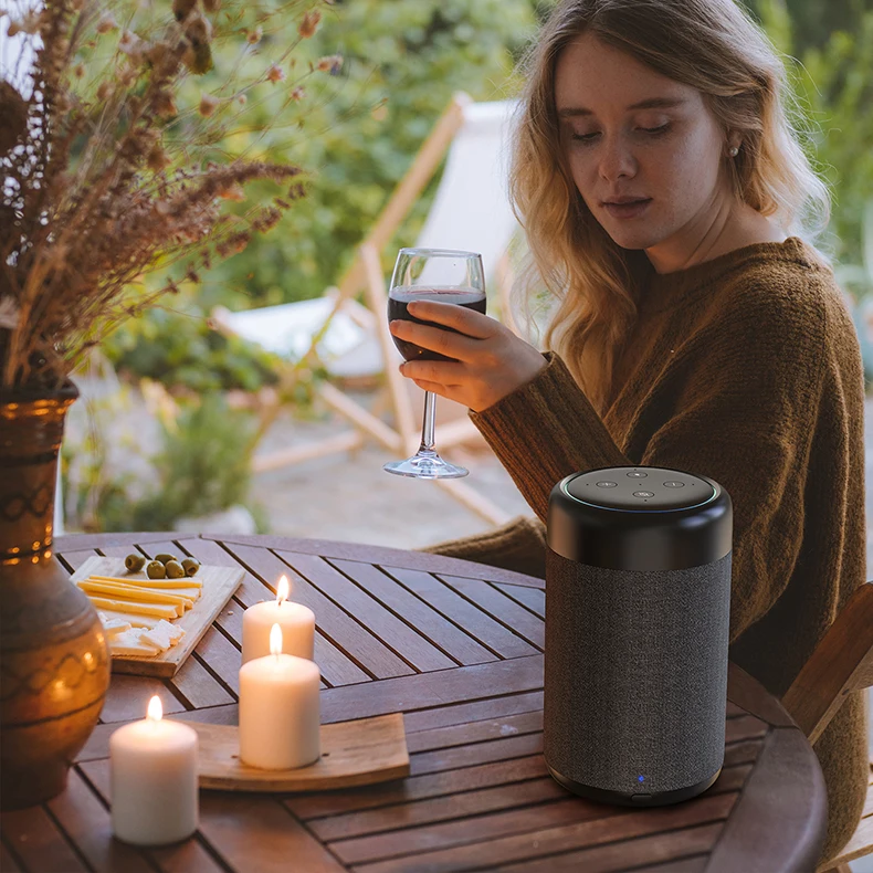 GGMM D7 5200 мАч зарядный чехол для Amazon Echo Dot(3rd Gen) батарея портативный динамик для Echo Dot Alexa Мощный 7 часов воспроизведения