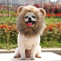 2021 hot sale lion ears wig cat and dog hat pet hat velcro adjustable pet wig turn into hat funny hat pet clothes funny headgear