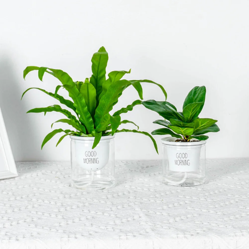 Самостоятельным поливом Пластик ящик для комнатных растений светлые прозрачные