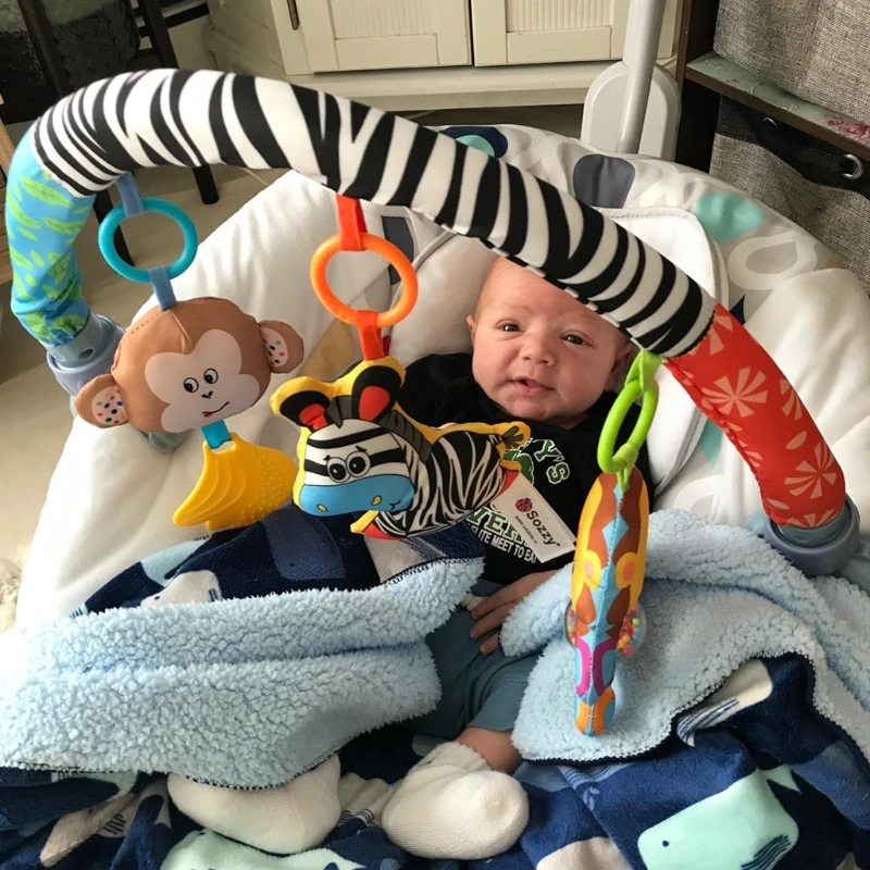 

H3CD Baby Play Arch Crib Accessory Animmal Toys Infant Pram Activity Bar with Rattle Squeak Teethers Hanging Bell