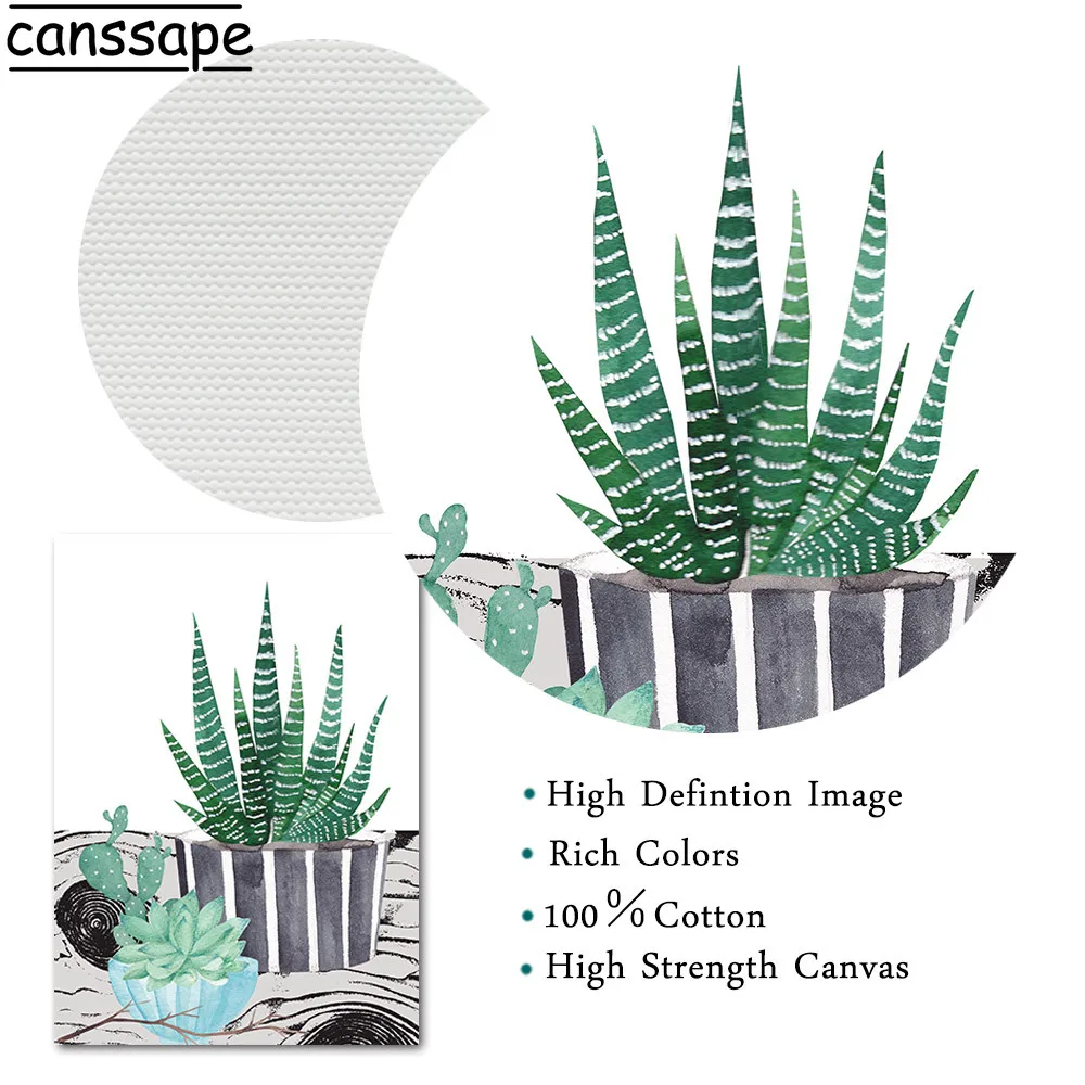 Картина на холсте с растениями кактусами настенные художественные принты