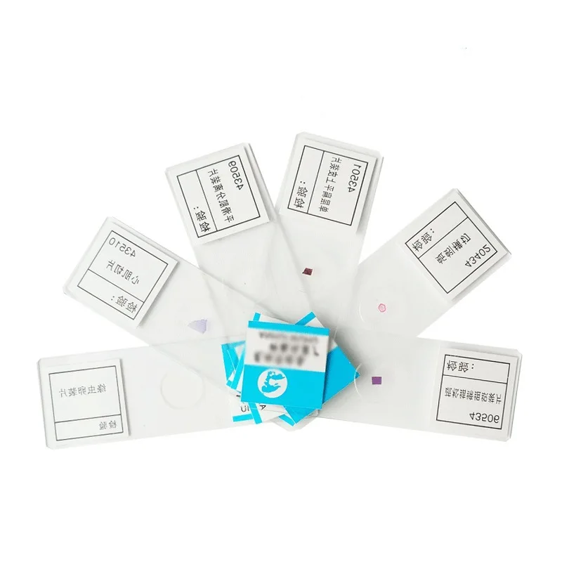 6 случайных кусочков биологических экспериментов Митоз растительных клеток