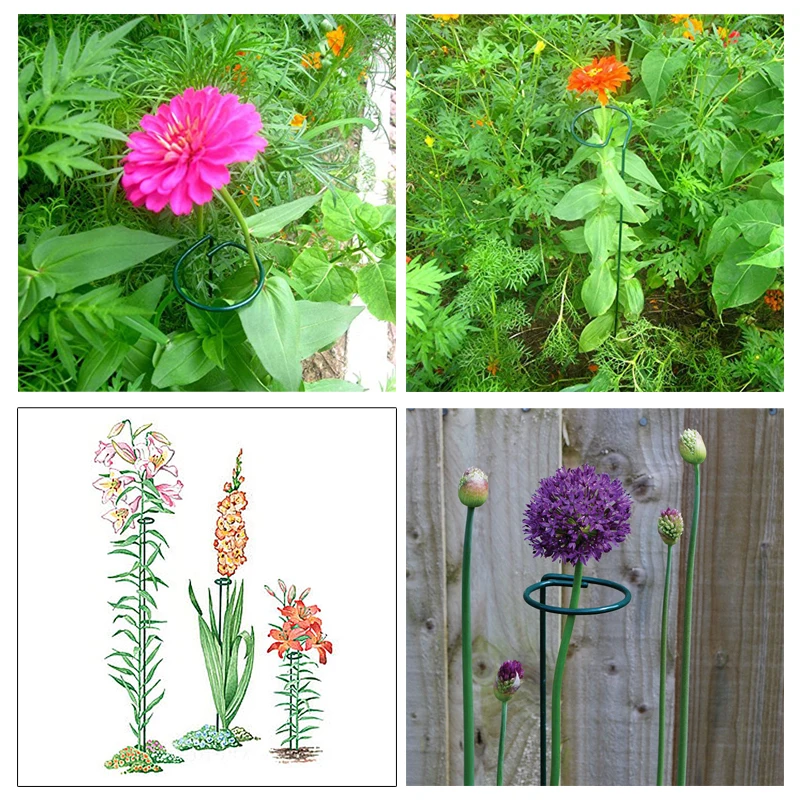 45x6 5 см железная круглая Форма растениеводства Поддержка кольцо с клеткой