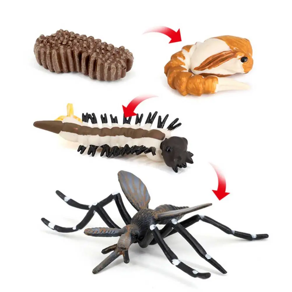 Экшн-фигурки муравьев-рабочих имитация гнезда цикл роста миниатюрные Обучающие