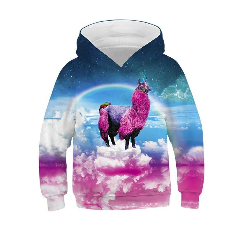 

2021 fashionable and good-looking 3D printed rainbow horse animal sports pullover hoodie long sleeve sweatshirt