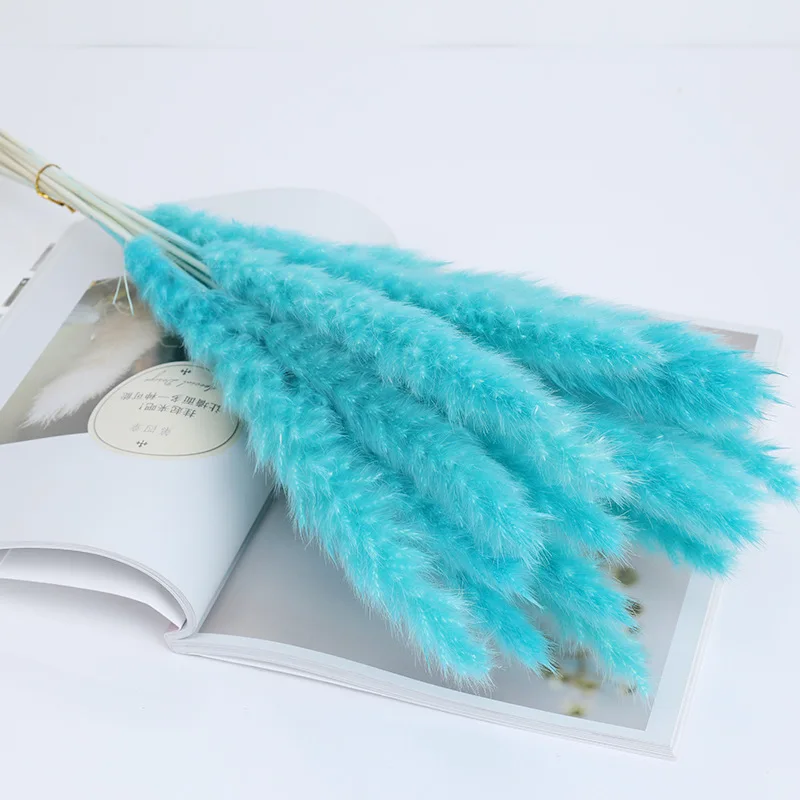 

10Pcs Dried Reed Flower Natural Pampas Grass For Modern Home Party Wedding Garden Outdoor Room Decoration Artificial Plants