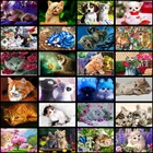 Алмазная живопись 5D сделай сам, животные из мультфильмов, мозаика с кошками, вышивка крестиком с животными, украшение ручной работы