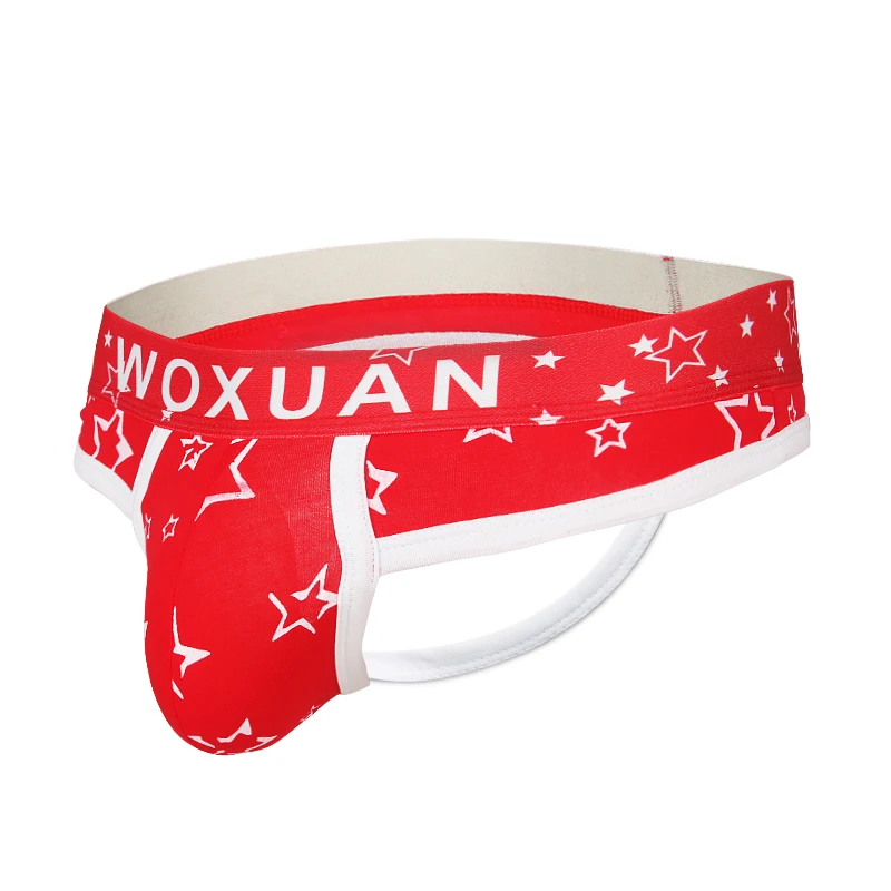 

New Sexy Underwear Men's Cotton Briefs Low Waist Print Underpants Male Gay G String Mens Panties Briefs Soft Exotic Jockstraps