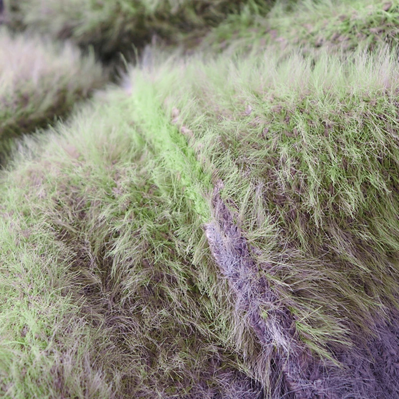 

SISPELL Patchwork Buttons Sweater For Female O Neck Long Sleeve Print Plaid Hit Color Women's Sweater Fashion Spring Tide 2021