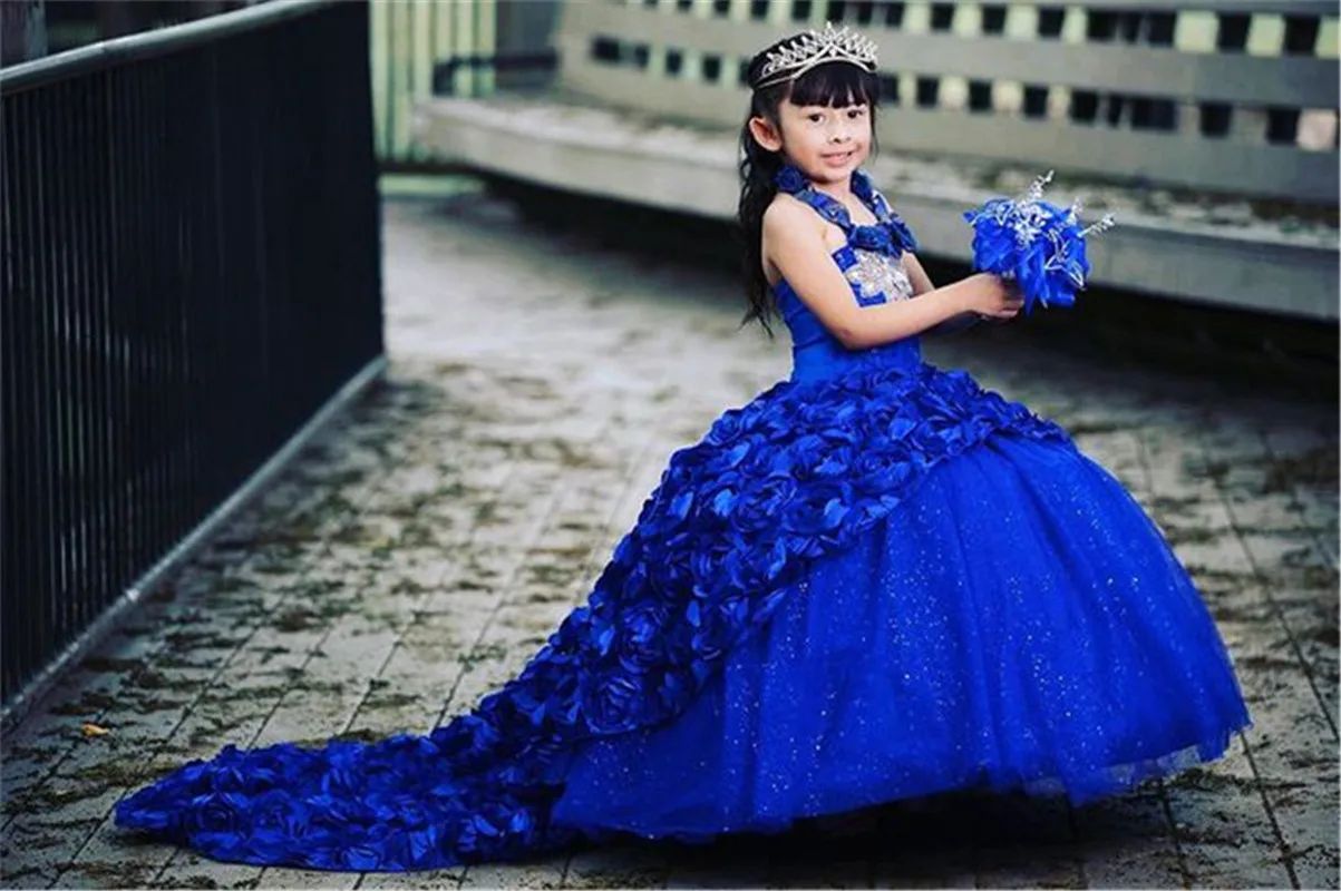 

Ball Gown Beaded Children Princess Dress Beauty Pageant Dress Puffy Flower Girl Birthday Dress Photography Dress