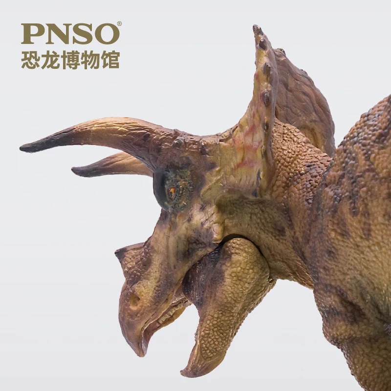 PNSO-modelo de arte cient&iacute;fico, Serie de museo de dinosaurios, Dolly, Triceratops, 1:35-2