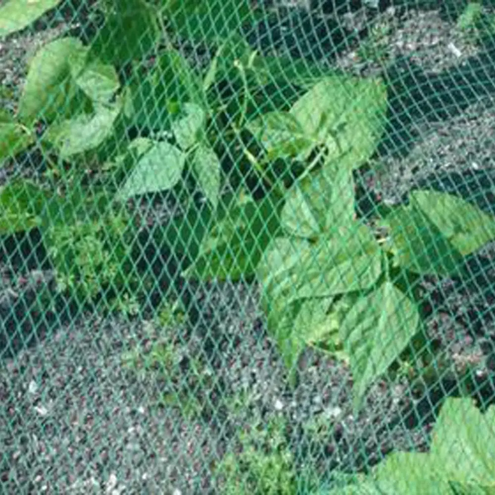 Anti Bird Protect Tree Net Fruit Crop Plant Garden Pond Cultivation Netting Mesh plastic network anti-bird | Дом и сад