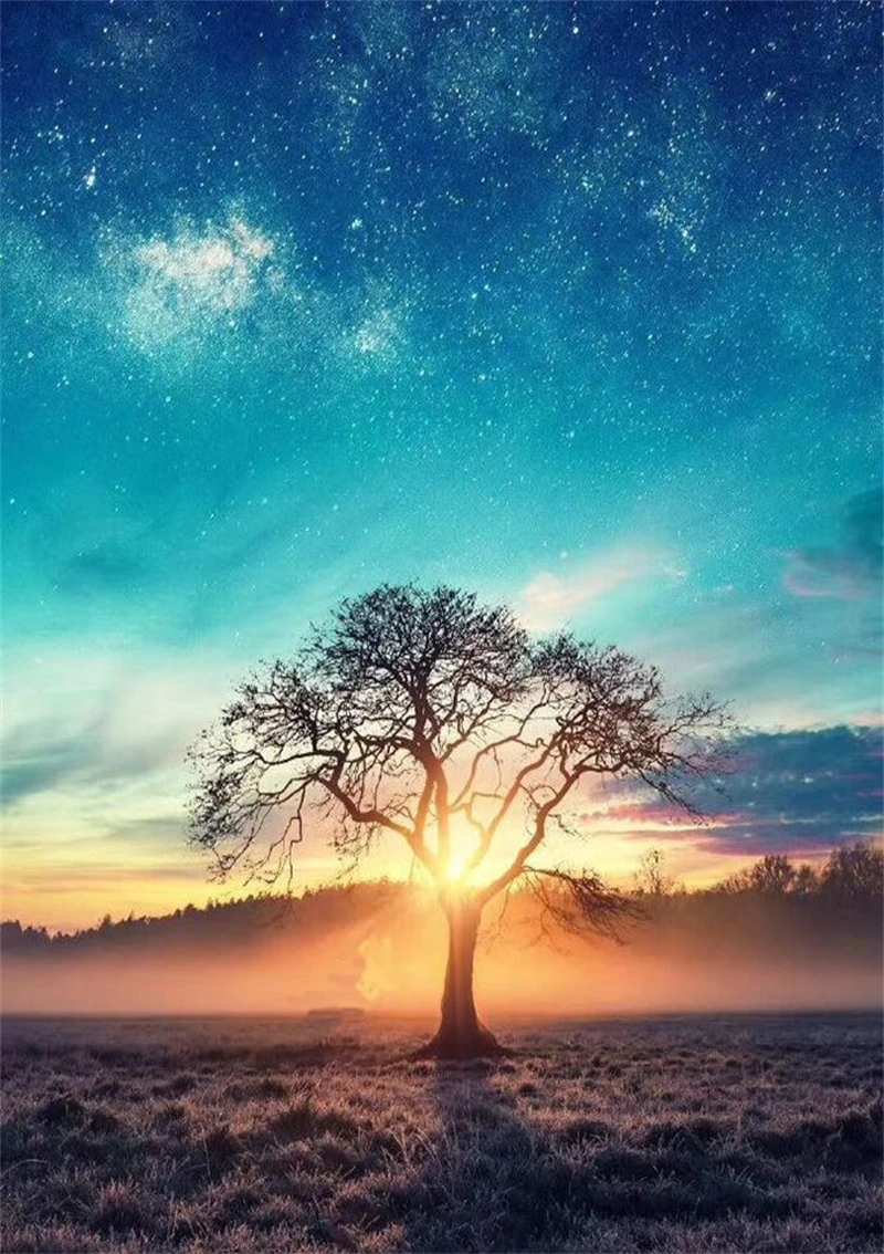 

Набор масляных цифровых красок по номерам No.2292 40x50 см без рамки для самостоятельной сборки, наборы абстрактных акриловых красок по номерам д...