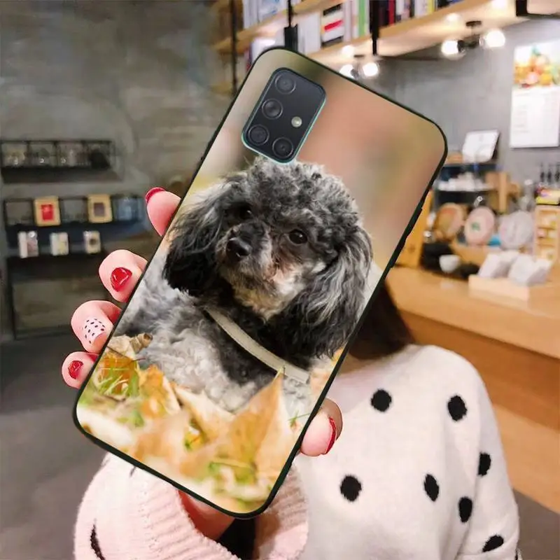 

Cute Poodle Dog Phone Case For Samsung Galaxy A52 A21S A01 A11 A31 A81 A10 A20E A30 A40 A50 A70 A80 A71 A51 5G