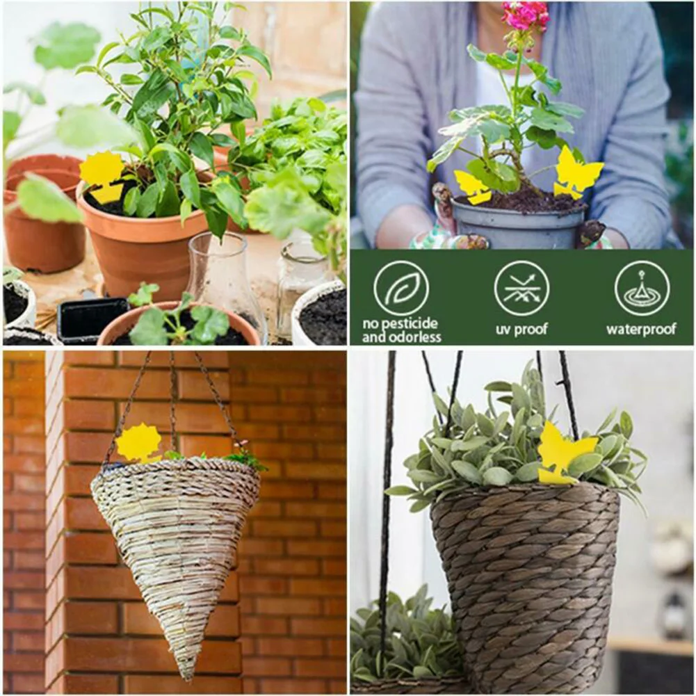 

Fly Sticky Fruit Fly Gnat Trap Trap Paper Yellow Traps Fruit Flies Insect