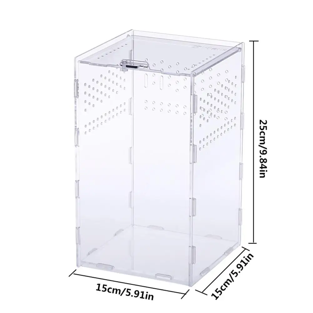 

Insect Feeding Box For Lizard Snake Spider Lizard Scorpion Centipede Acrylic Reptile Breeding Box Clear Terrarium Feeding House