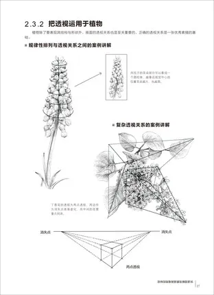 

Pencil sketch From the primer to the mastery: Plant Series Sketch basic course book sketching still life
