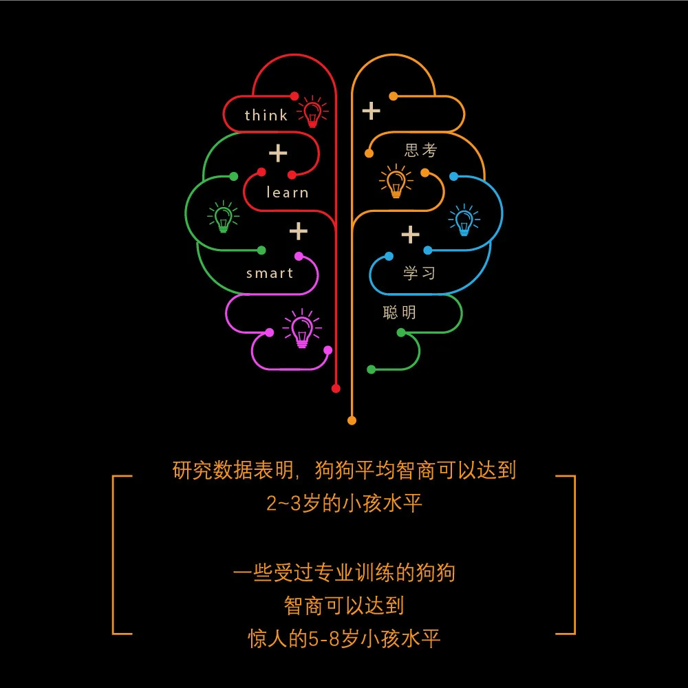 Развивающие игрушки для собак обучающие медленная пищевая миска сумасшедшая