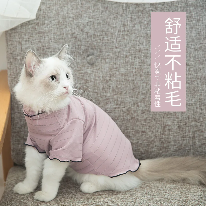 

Kitten's Clothes Thin Cloth Doll Two Legged Clothes English Short Hairless Kitten Cat Pet Garfield Blue Cat
