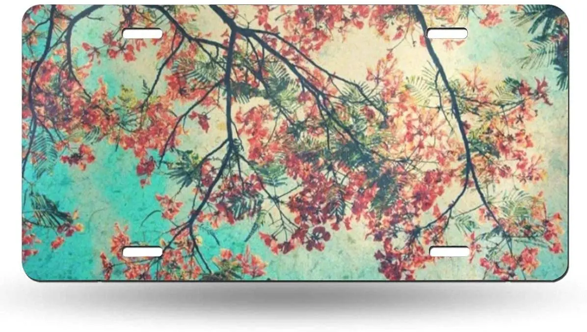 

yunsu Vintage Orange Peacock Flowers License Plate,car Decor Personalise Tag,Novelty Car Front License Plate Metal Aluminum