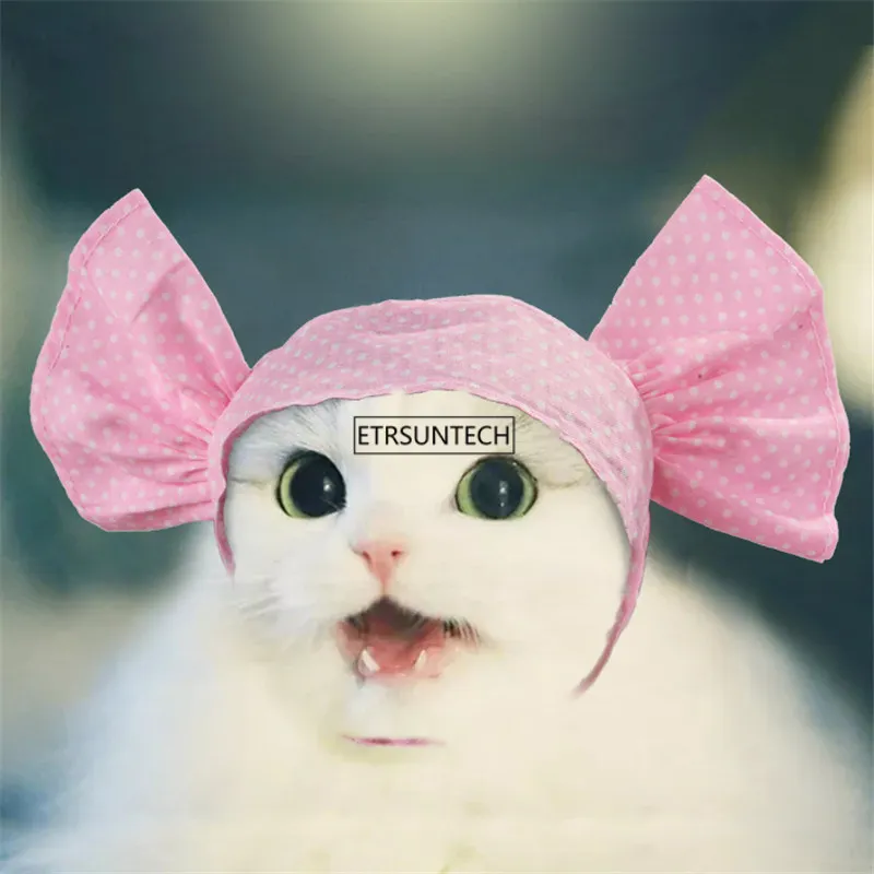 100 Pcs Pet Dog Katten Headdresses Pet Puppy Kat Hoofddeksels Hoofddeksels Hoeden Hond Kat Cosplay Dressing Up 100 Pcs Pet Dog Katten Headdresses Pet Puppy Kat Hoofddeksels Hoofddeksels Hoeden Hond Kat Cosplay Dressing Up