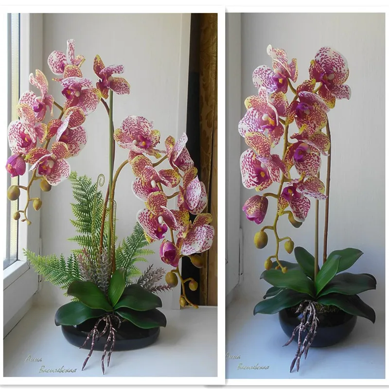 Индиго фаленопсис Баттерфляй белые орхидеи реального касания искусственный