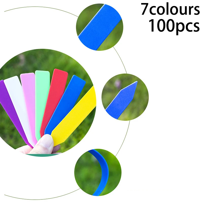Великобритания! 100 шт садовые растения бонсай суккулент ярлыки семян