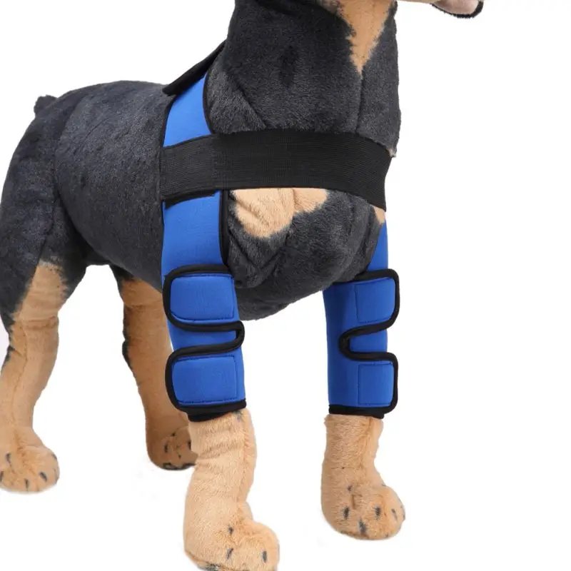 2 звеньев повязки для защиты локтя собаки|Аксессуары собак| |