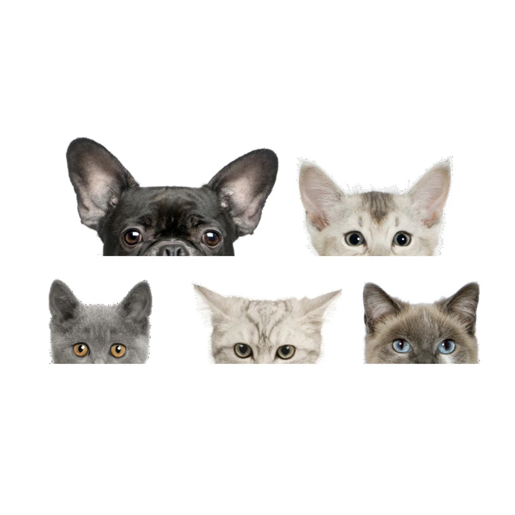 Наклейка на стену из ПВХ, 43 х60 см, с изображением кота, собаки, ванная, туалет, кухня