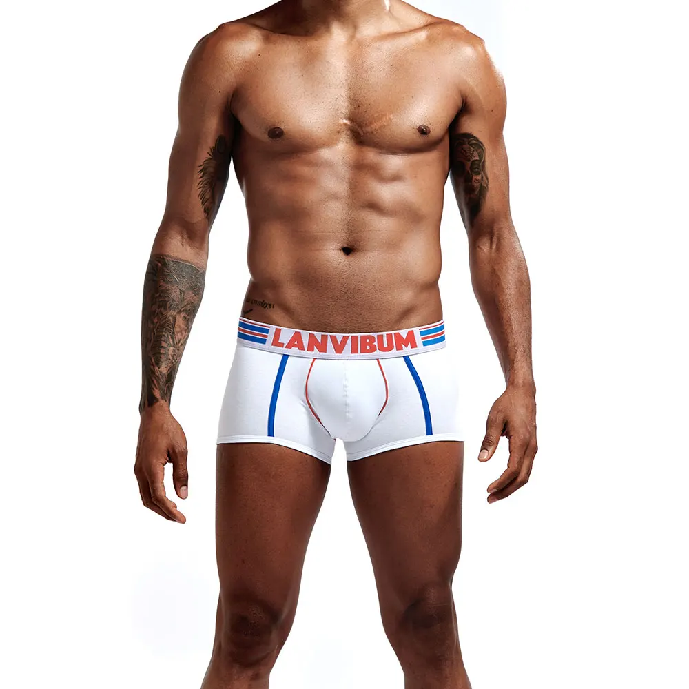 Брендовые шорты боксеры подарки для мужчин Трусы из хлопка с низкой талией