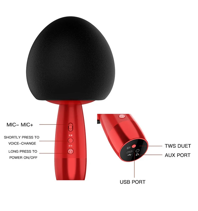 TOSING V3 Hot Classic Cute Mushroom Karaoke Microphone 10W Speaker Magic Sound Effects for Kids Youngster Singing Fun to Family |