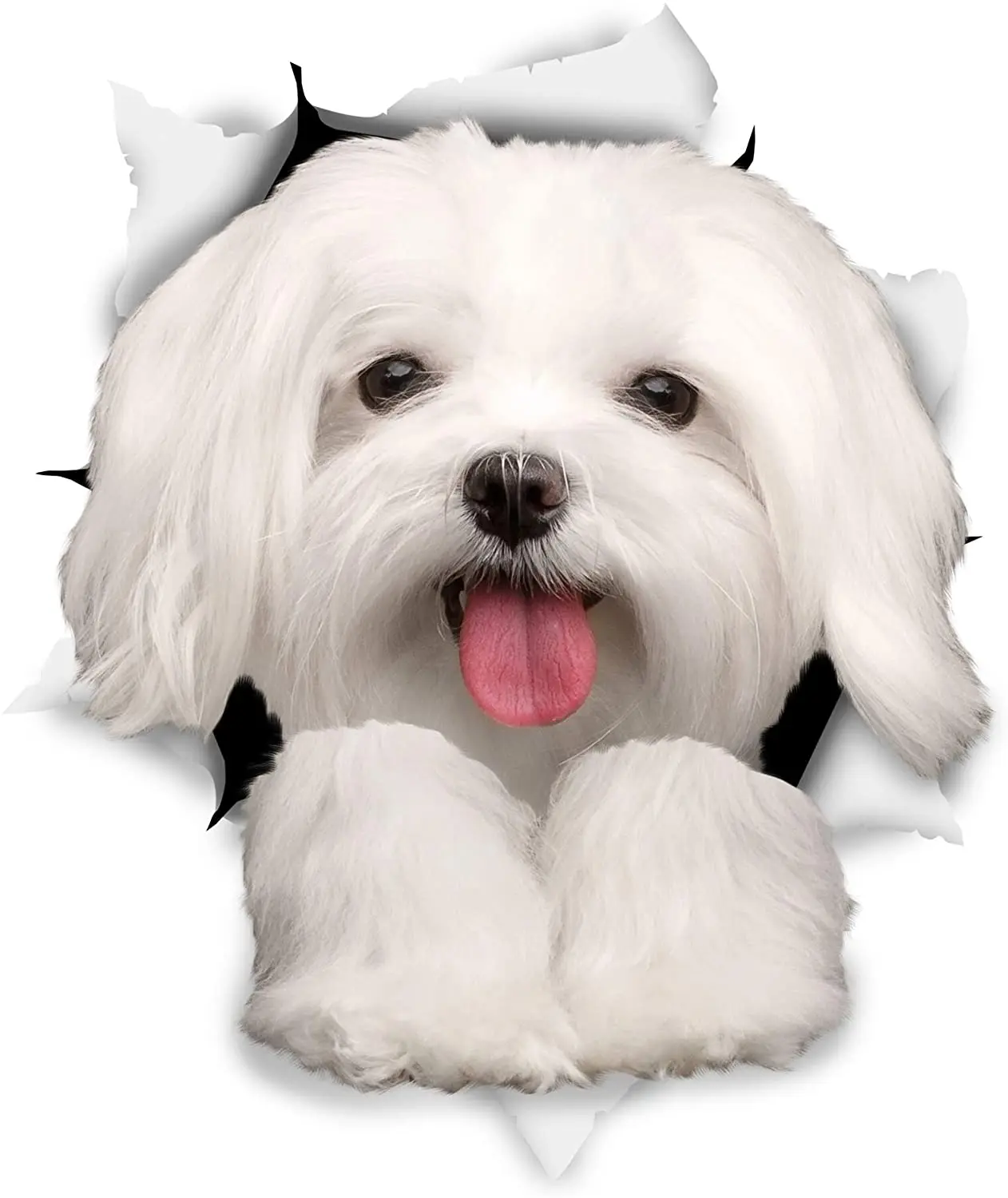 

Cute Maltese Dog Car Sticker Decoration Cover Scratch Decal Laptop Truck Motorcycle Auto Accessories PVC,12cm*9cm