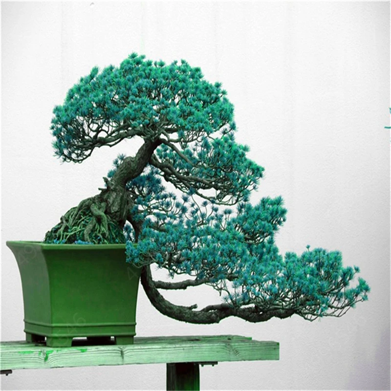 Аквариум Рок орнамент в стиле бонсай аквариум для рыб скалы искусственные