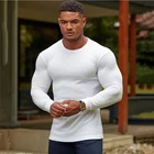 Футболка мужская для бега, спортивный свитер с длинным рукавом, приталенный силуэт, круглый вырез, трикотажный топ, весна-осень