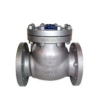 vertical horizontal water full opening swing type wcb casting flanged non return check valve