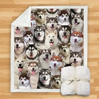 you will have a bunch of alaskan malamutes premium fleece sherpa 3d printed fleece blanket on bed home textiles dreamlike