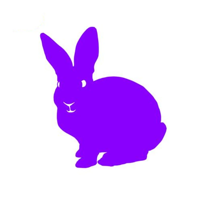 DAWASARU Wise Rabbit Decal Vinyl Cute Animal Car Sticker Car-styling for Truck Window Bumper Laptop Waterproof Custom 14*13CM | Автомобили