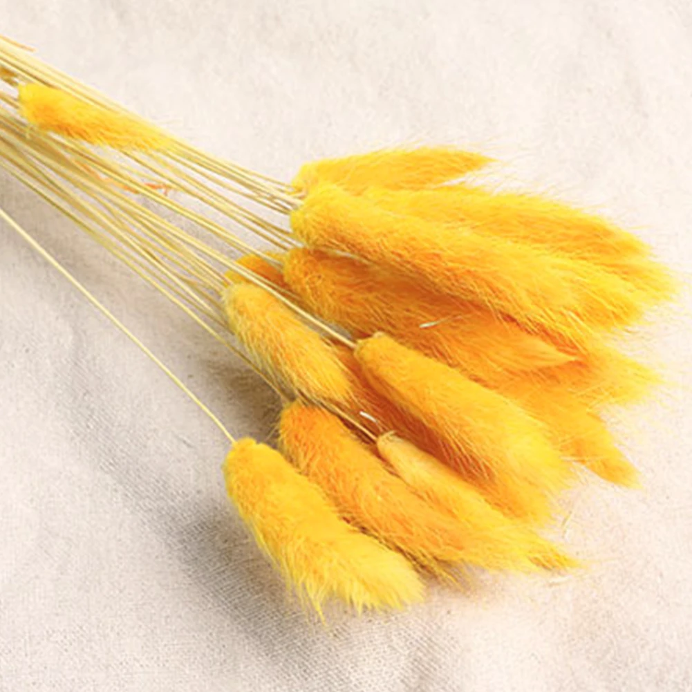 30pcs Rabbit Tail Grass Bouquet Eco Friendly Wedding Dried Flower Florist Photo Props Lagurus Ovatus Natural Gift Home Decor