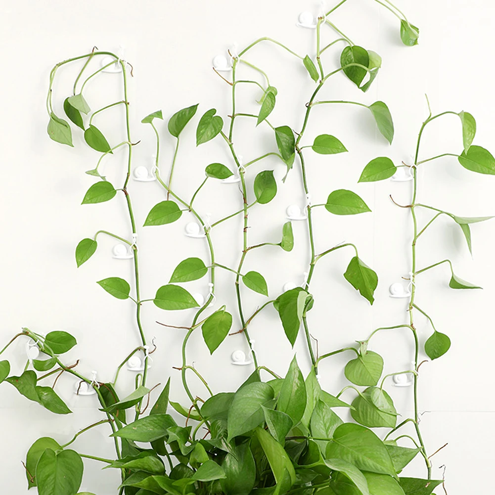 

Самоклеящееся крепление для подъема растений