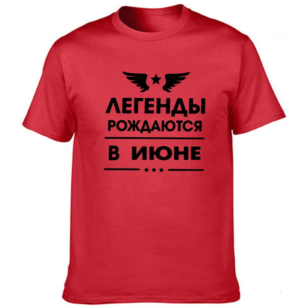 Футболка мужская с надписью на русском языке смешная тенниска коротким рукавом