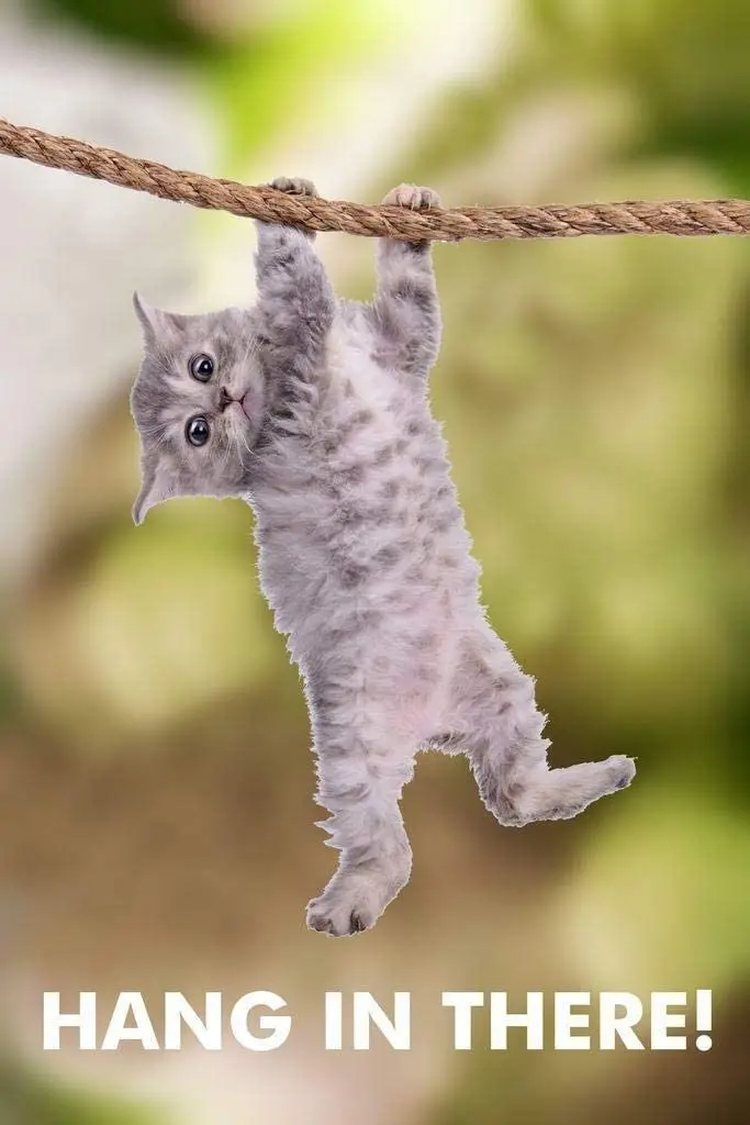 

Cat Hang in There! Cat Retro Metal Sign Poster 12x8 Inch