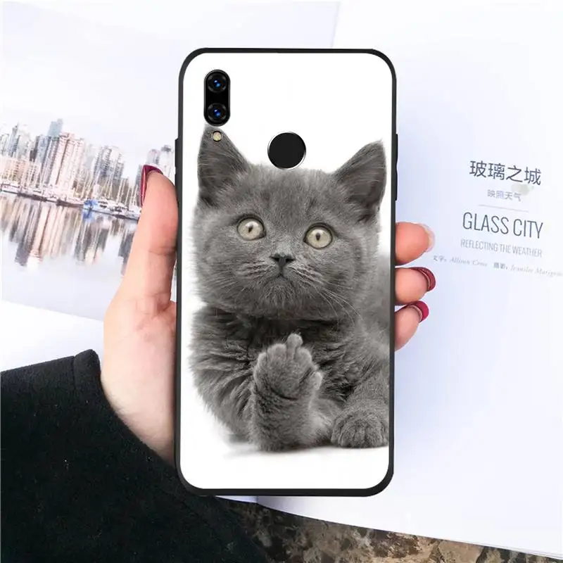 

cat funny Cute animal Phone Case For Huawei honor Mate P 10 20 30 40 i 9 8 pro x Lite smart 2019 nova 5t shell funda coque