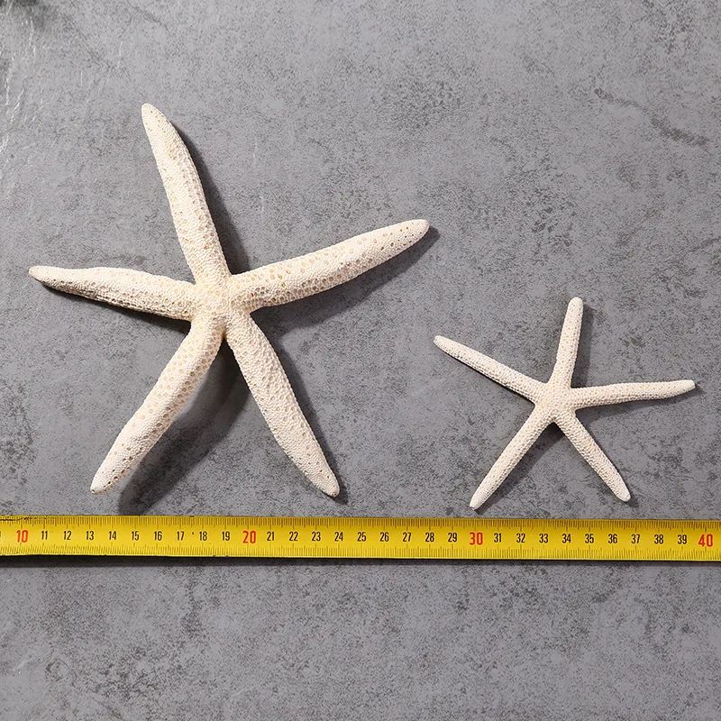 

Natural Shell Starfish Home Decoration Crafts Accessories Aquarium Fish tank Landscape furnishing accessorie wedding decoration