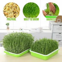 double layers plastic nursery pots seed sprouter tray pp soil free wheatgrass grower seedling tray sprout plate hydroponic