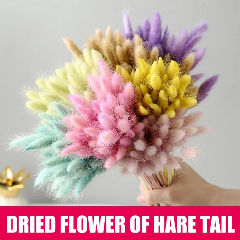 

50 Pcs Dried Flower Grass Decoration Photography Props for Home Store Wedding GHS99