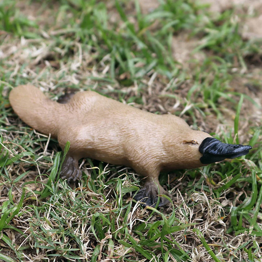 Реалистичная фигурка животного Platypus скульптурная модель настольное украшение
