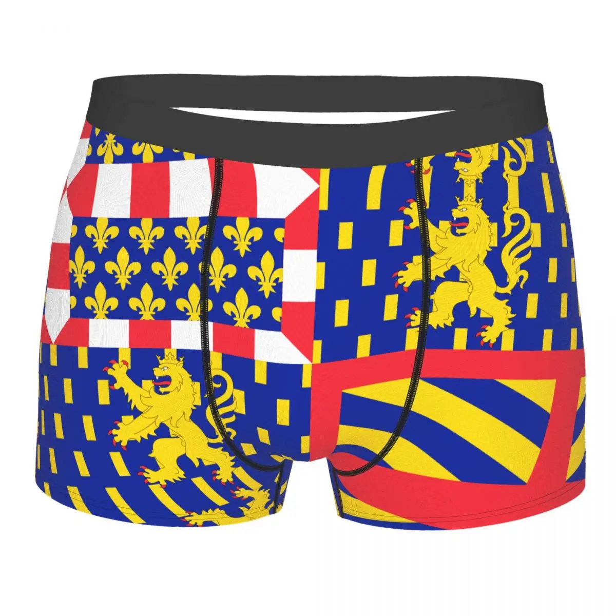 Flag Of Bourgogne-Franche-Comté Men's Boxer Briefs Flags of the regions of France Funny Novelty elastic pants for men